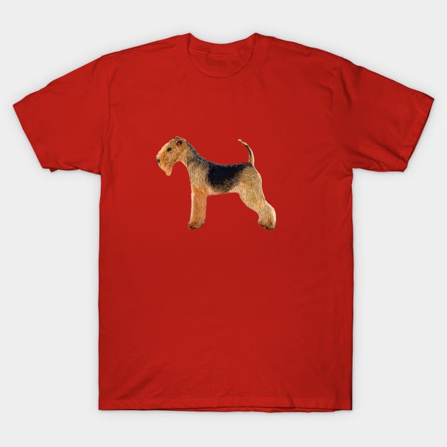 Lakeland Terrier T-Shirt by ElegantCat